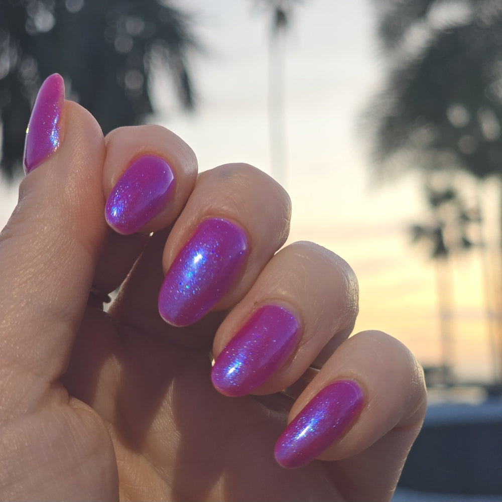 Miami Rose