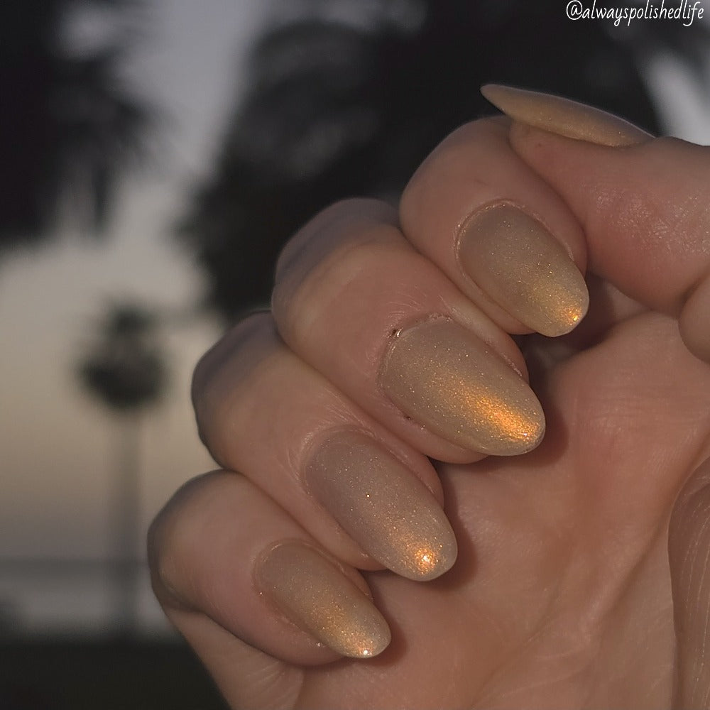 Afterlight