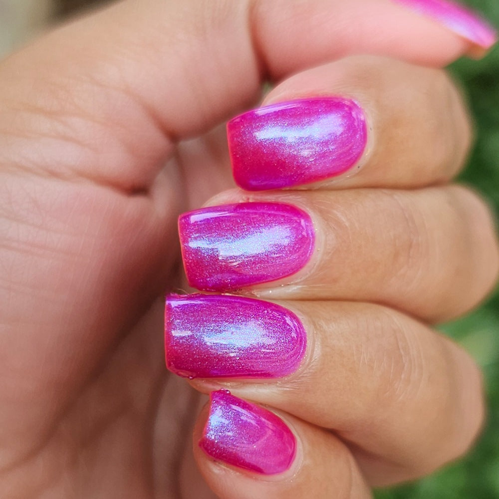 Miami Rose