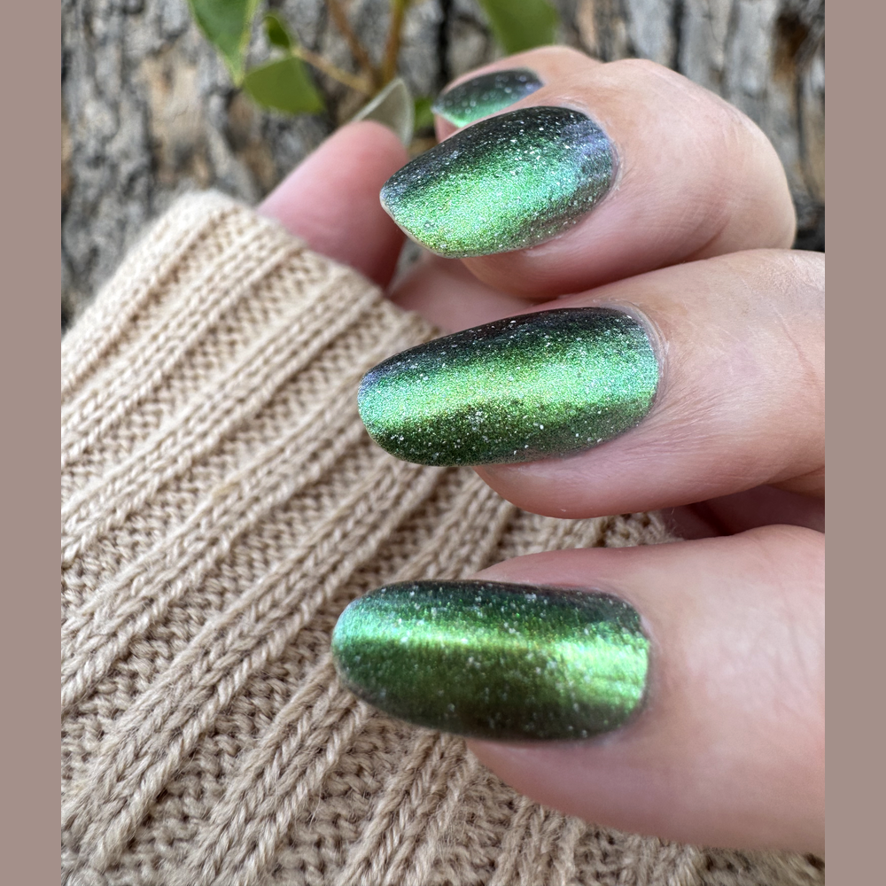 Leaves of Oak