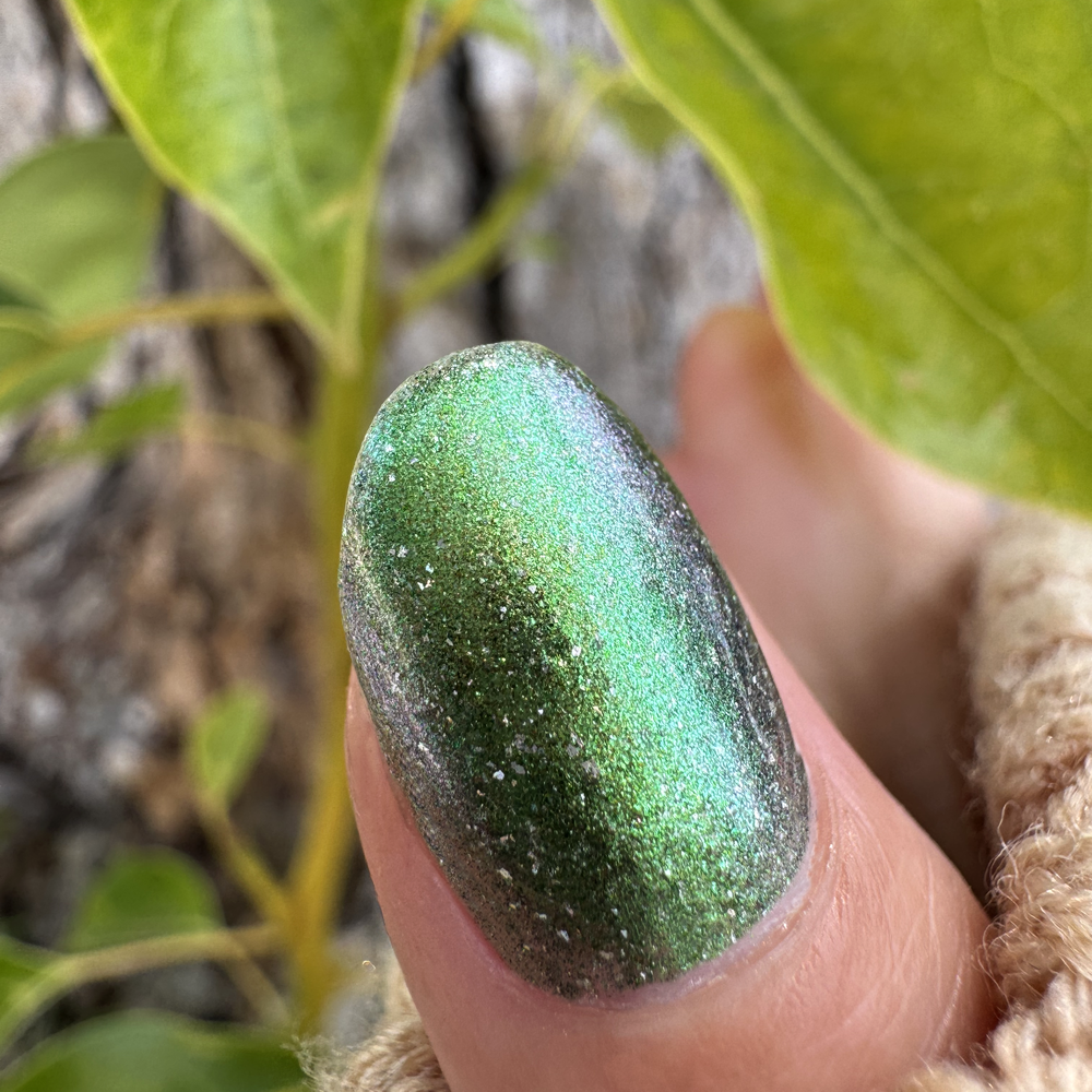 Leaves of Oak