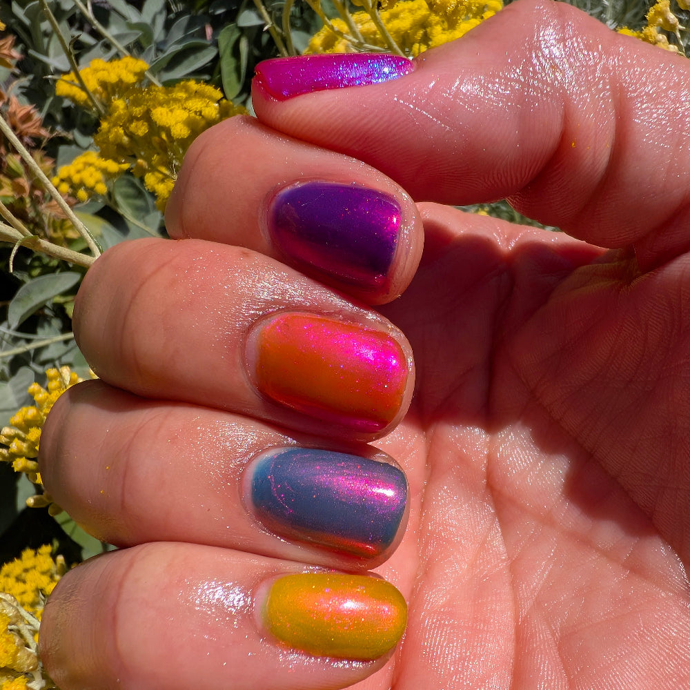 Sunset Static (full set)