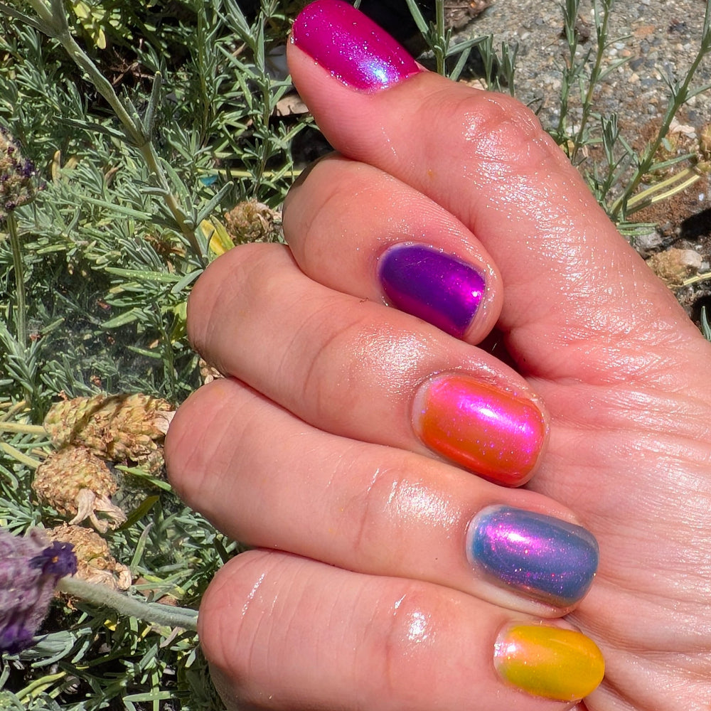 Sunset Static (full set)