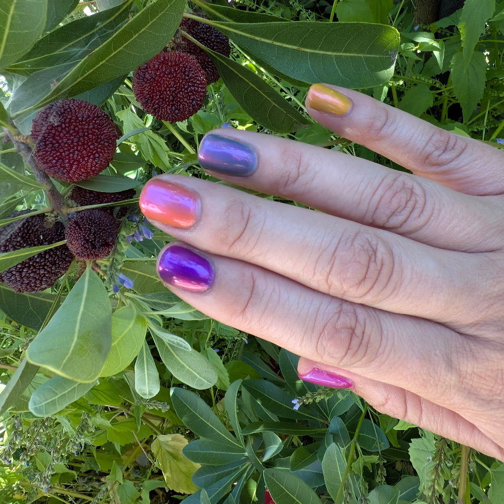 Sunset Static (full set)
