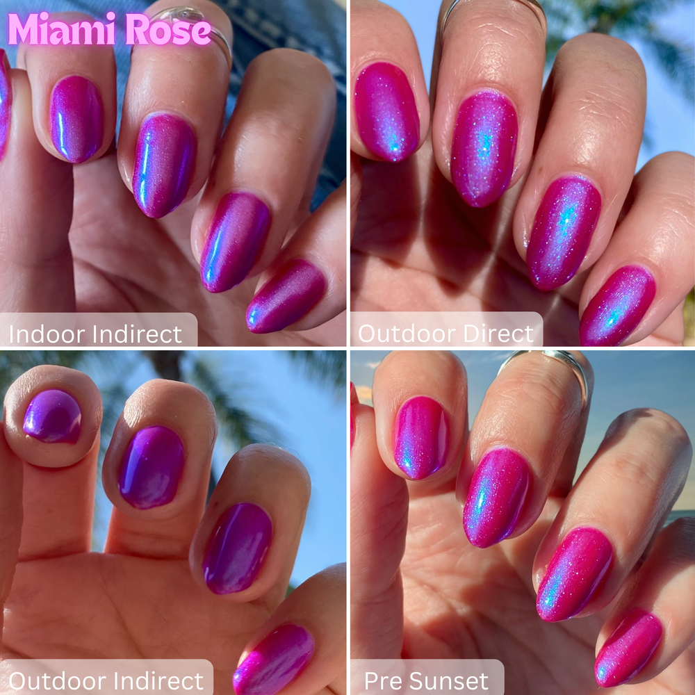 Miami Rose