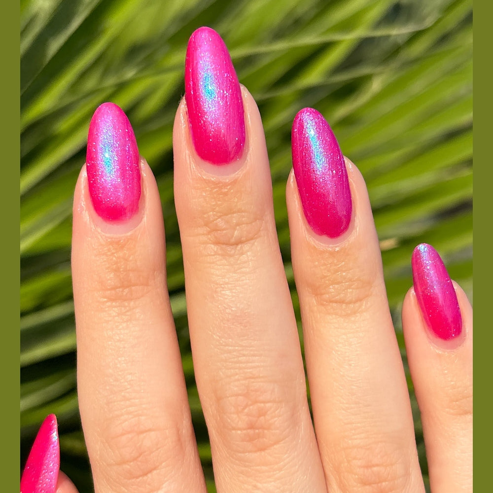 Miami Rose