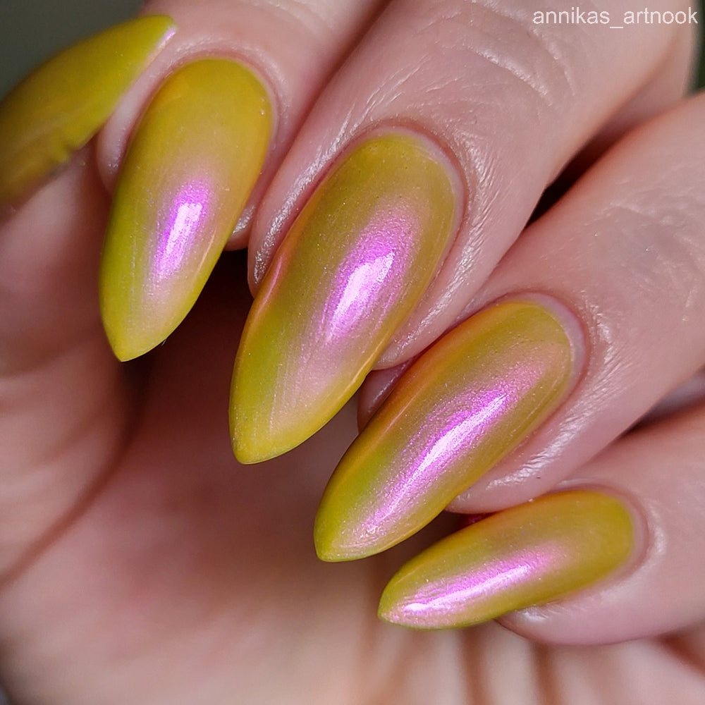 What's That in the Mustard?