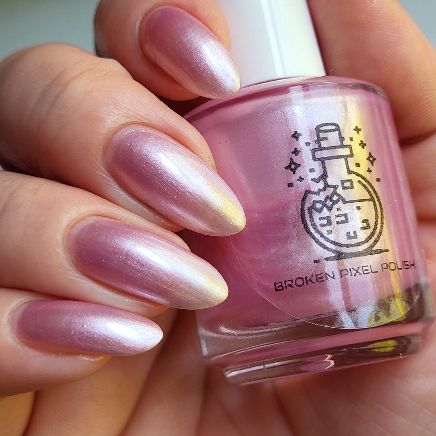 Sakura Blossom