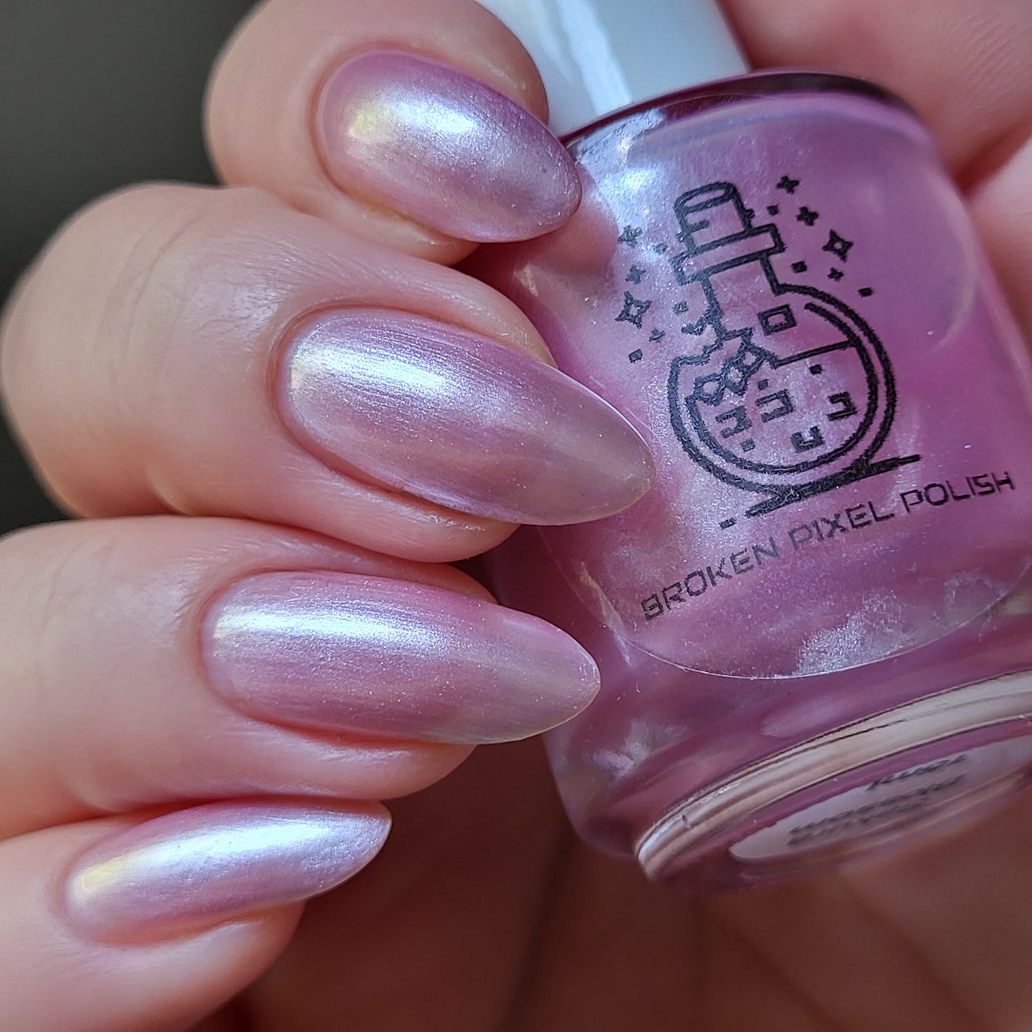 Sakura Blossom