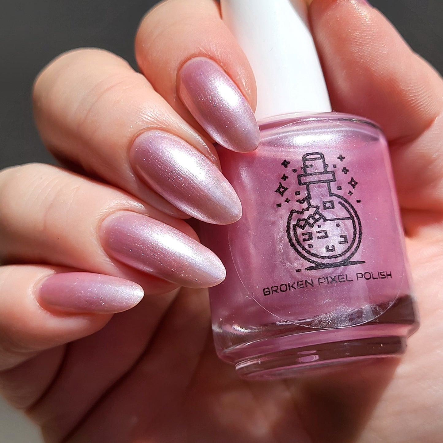Sakura Blossom