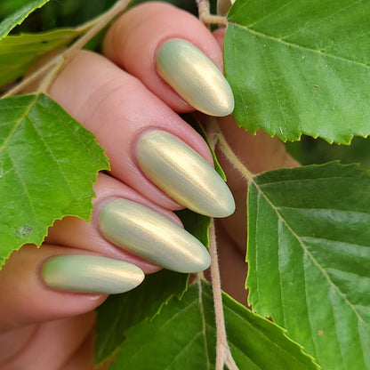 Lemon-Lime Sorbet
