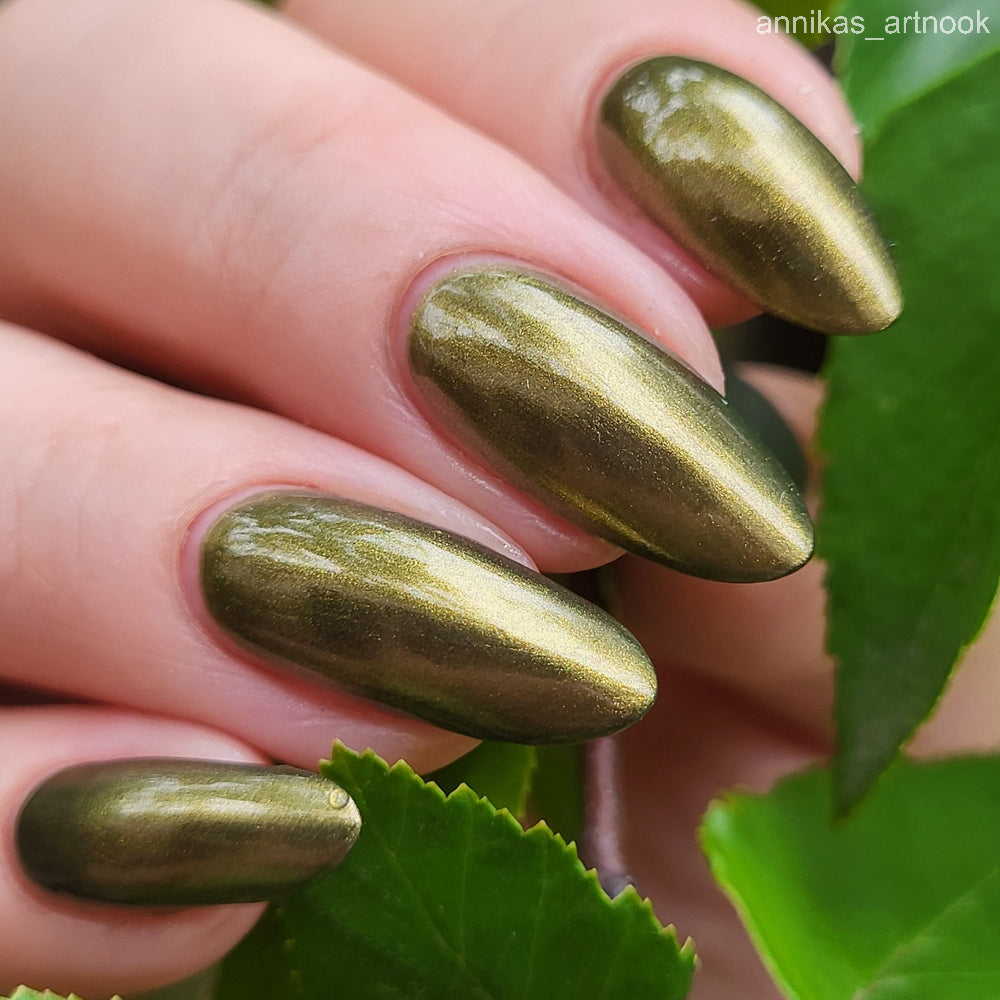 The Capered Crusader