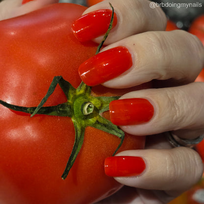 Jersey Tomato