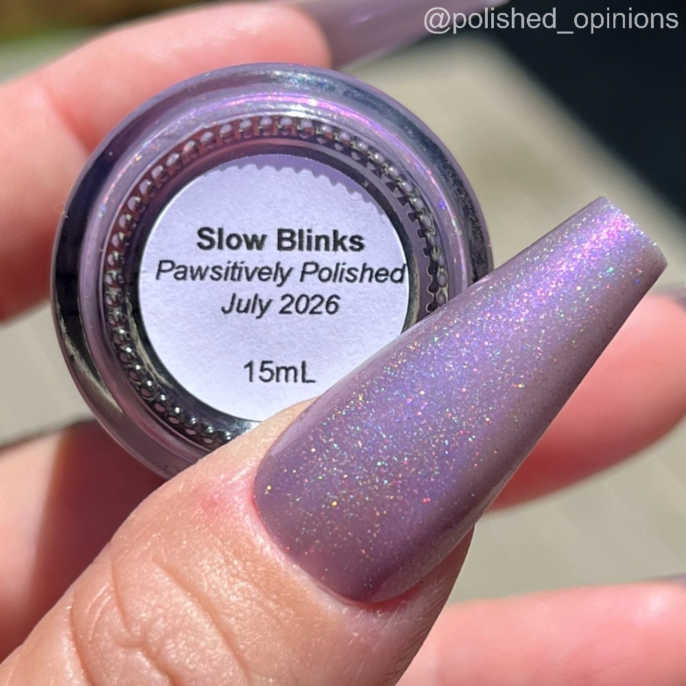 Slow Blinks (Team Cat)