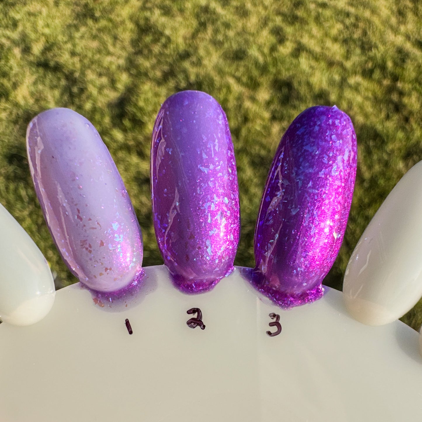 Berrying the Evidence