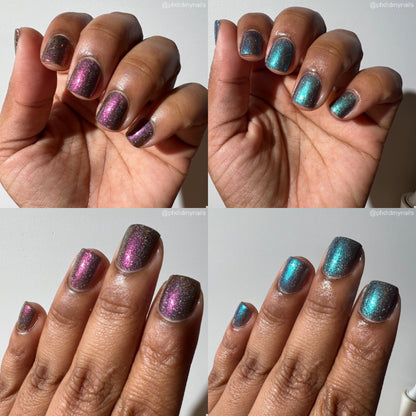 Buy Now, Cry Later Black Friday Duo