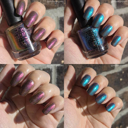 Buy Now, Cry Later Black Friday Duo