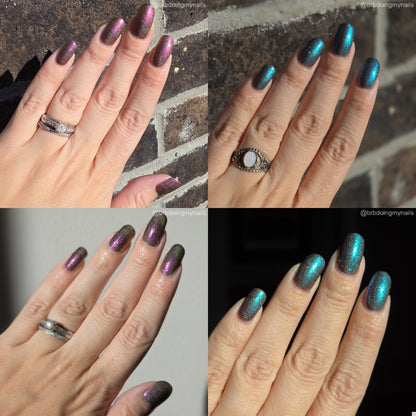 Buy Now, Cry Later Black Friday Duo