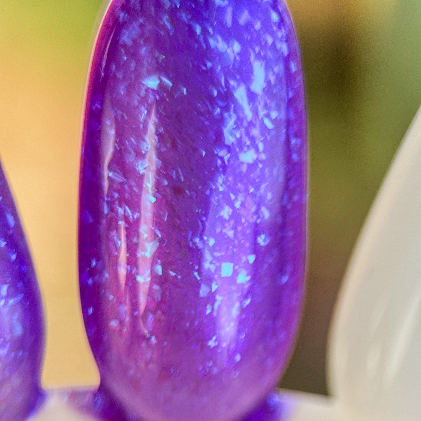 Berrying the Evidence