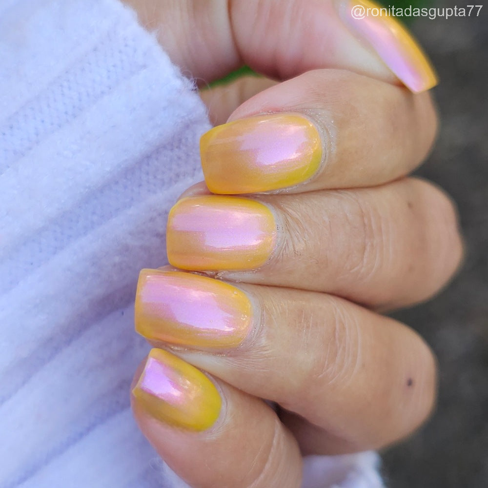 What's That in the Mustard?