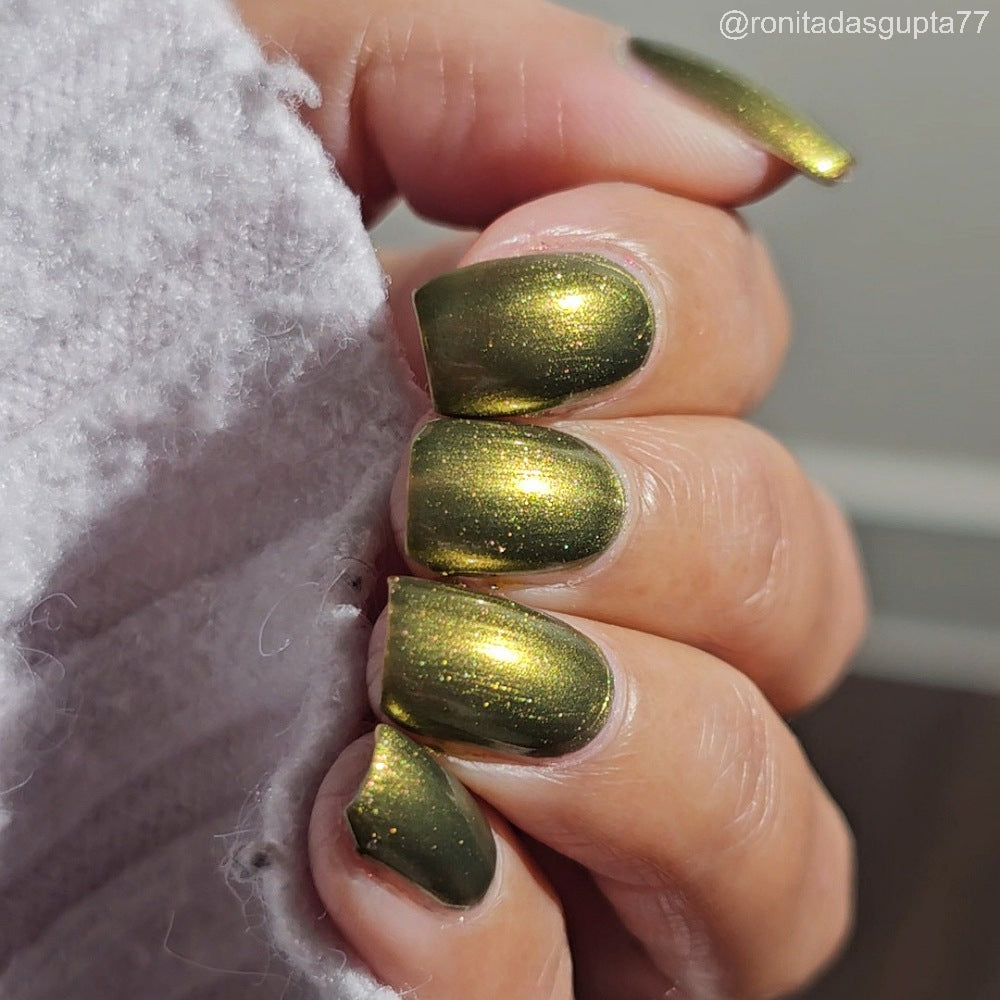 The Capered Crusader