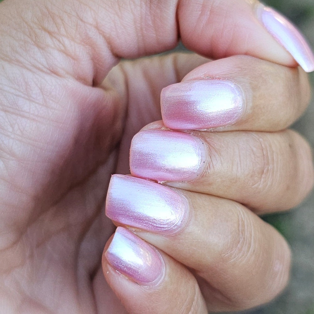 Sakura Blossom