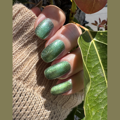 Leaves of Oak