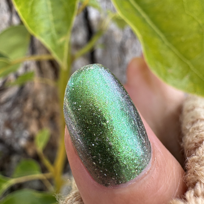 Leaves of Oak