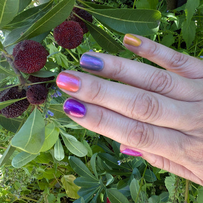 Sunset Static (full set)