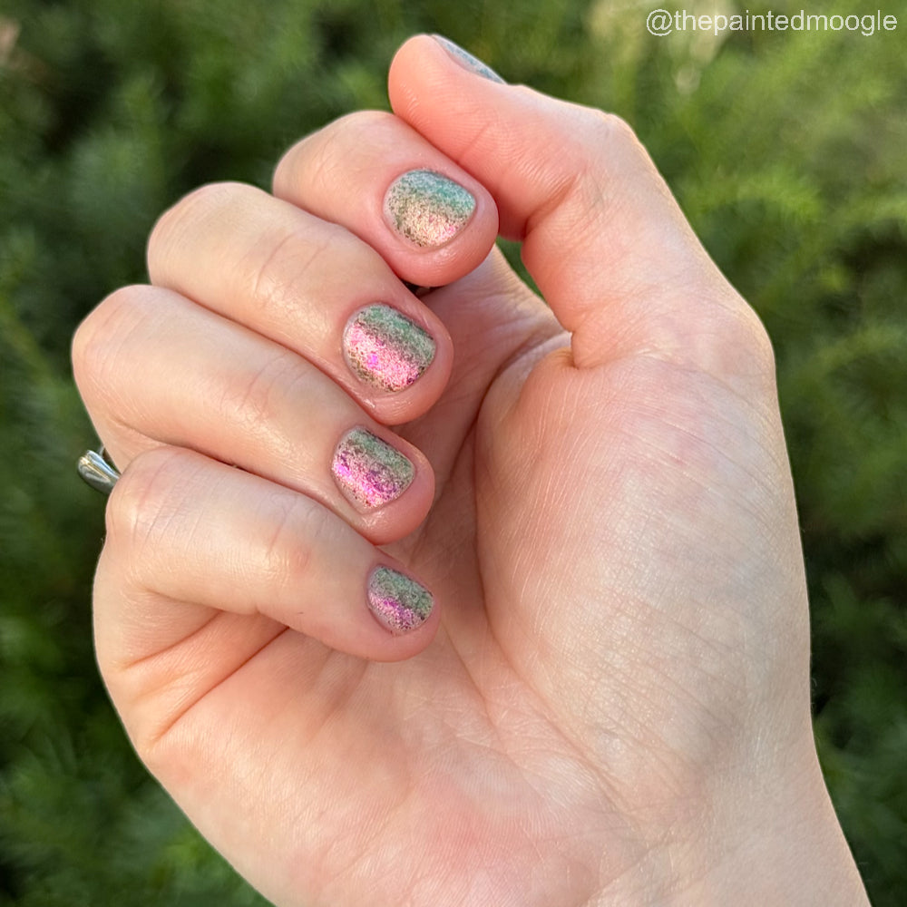 Four Thieves Vinegar