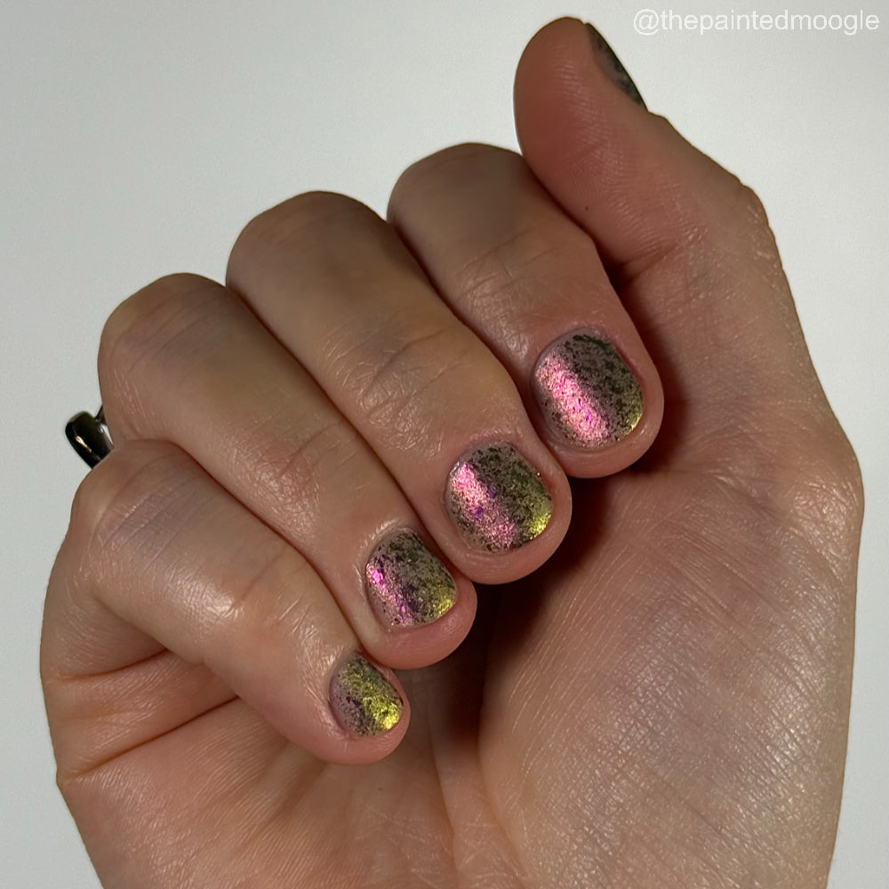 Four Thieves Vinegar