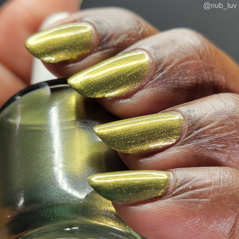 The Capered Crusader