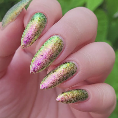 Four Thieves Vinegar